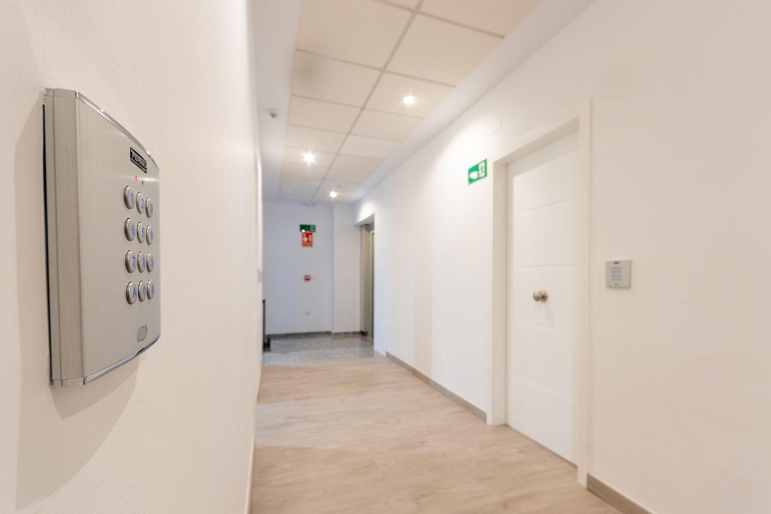 Apartamentos Basilica Santa Eulalia Parking Gratis Μέριδα Εξωτερικό φωτογραφία